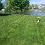 IMG_20260421_125229