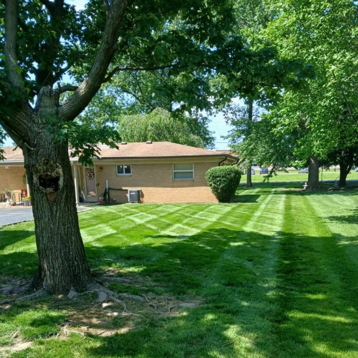 image000000(10)